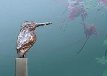 Ijsvogel