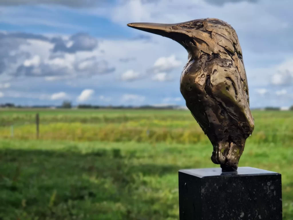 Ijsvogel Gepolijst